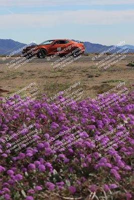 media/Jan-08-2023-SCCA SD (Sun) [[8f6a5b9391]]/Advanced Group/Session 2 (Short Straight)/